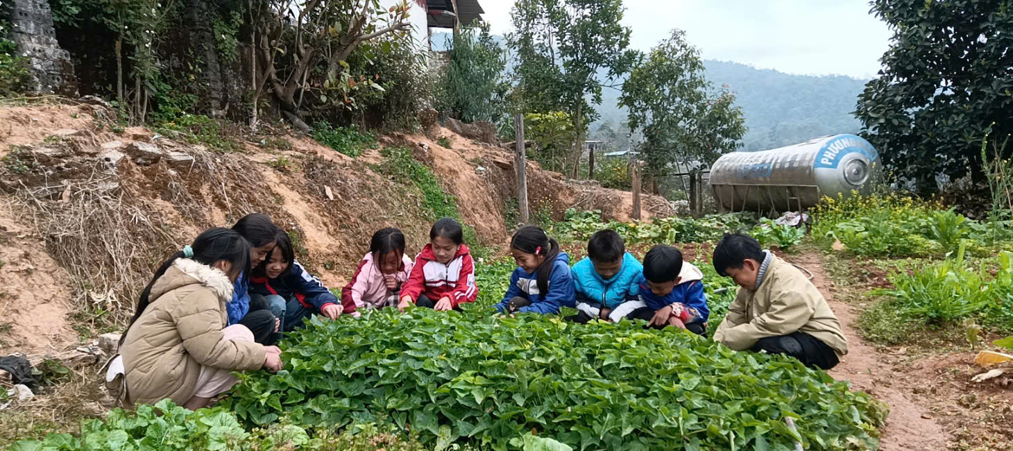 Ảnh 2 Các em HS đang chăm sóc vườn rau nội trú