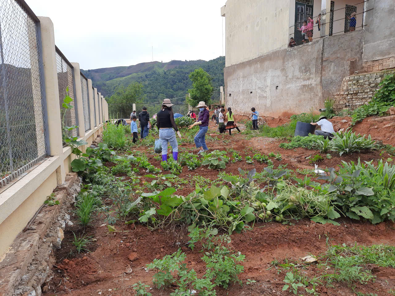 Ảnh 2 GV và HS đang chăm sóc vườn rau nội trú