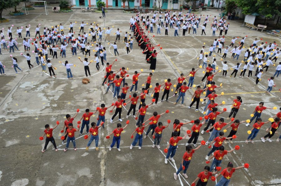 Hoạt động chuyên môn