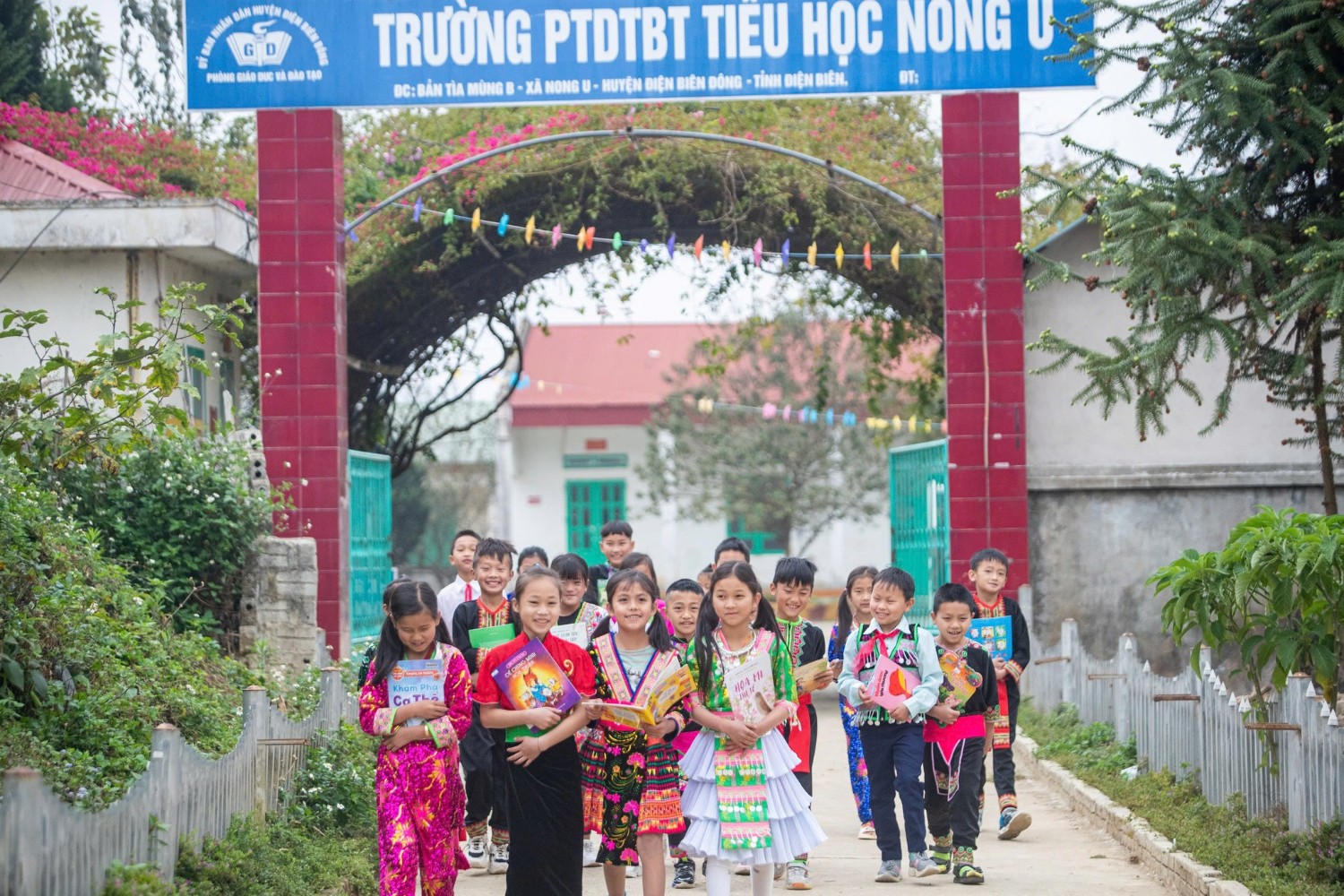 Hoạt động chuyên môn