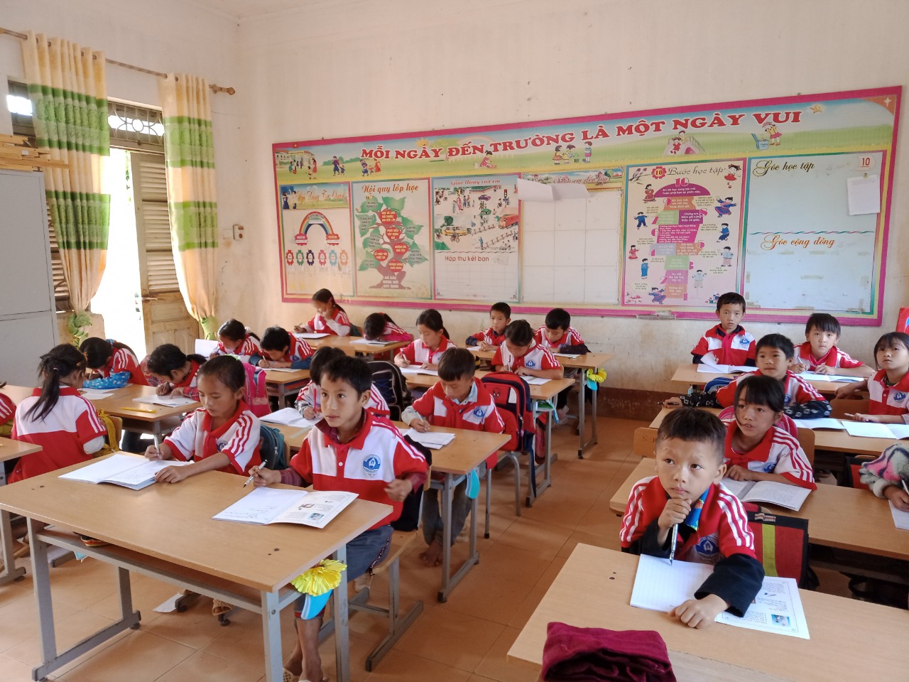 Hoạt động chuyên môn
