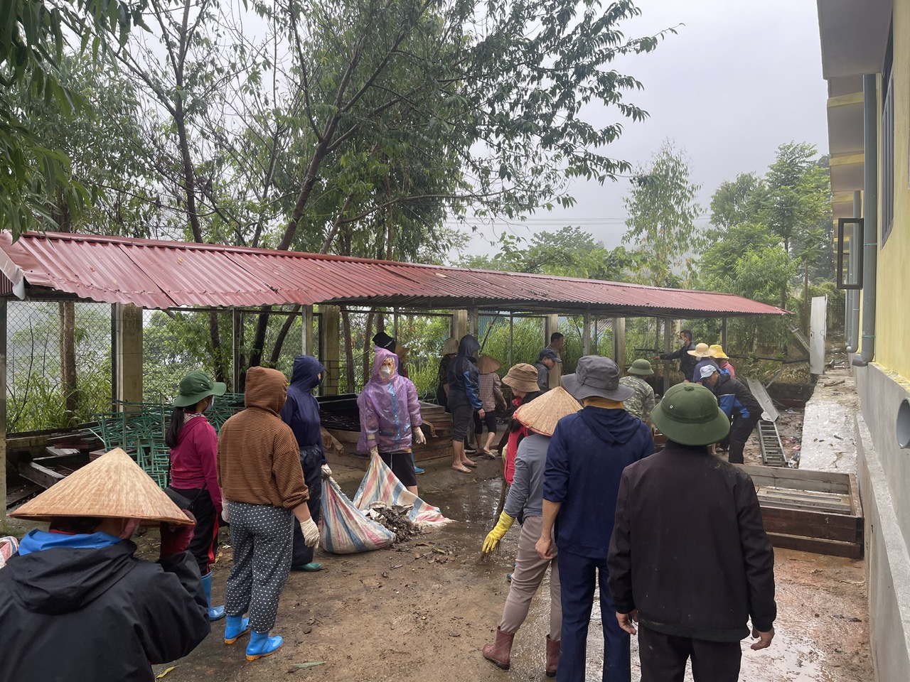 Hoạt động Đội Thiếu Niên